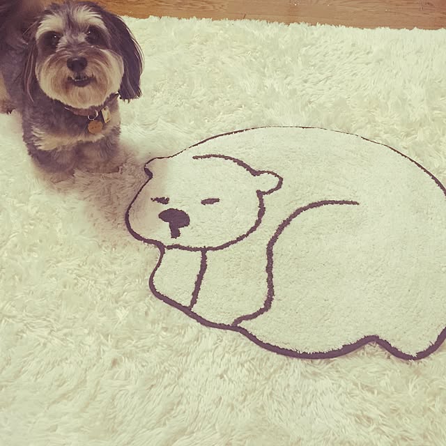 pero1pan5さんの実例写真