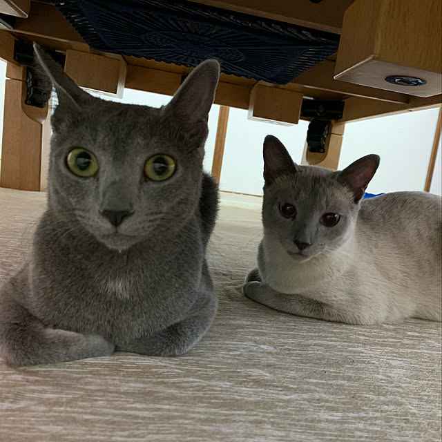 nonさんの実例写真