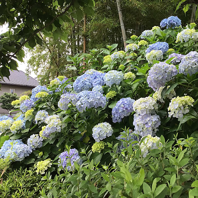 houenさんの実例写真