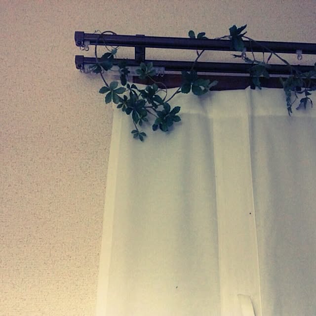 029さんの実例写真
