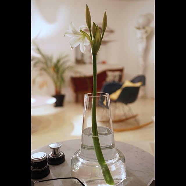 Design papa Ka-tuさんの実例写真