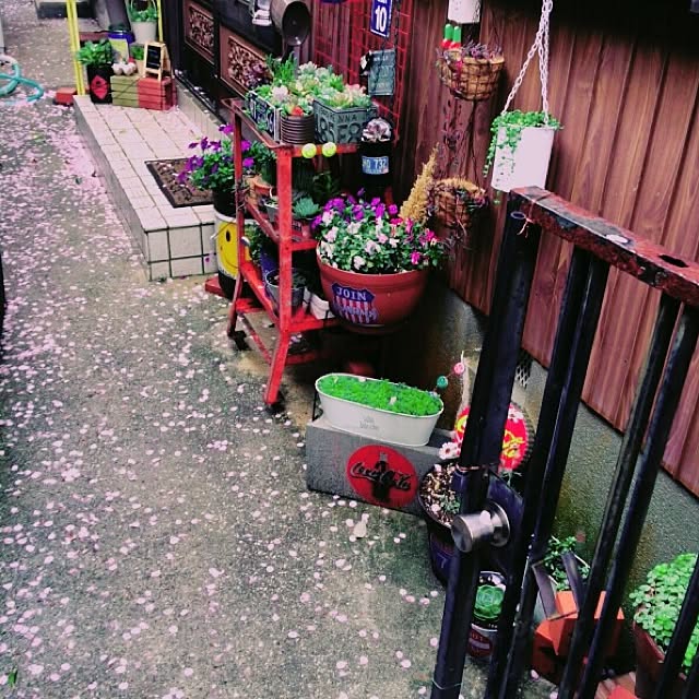 d0raem0nさんの実例写真