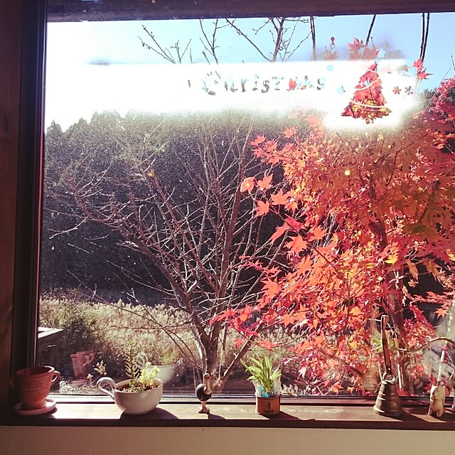 monblanさんの実例写真
