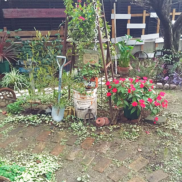 bibianさんの実例写真
