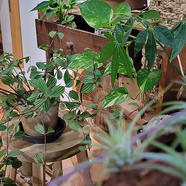 akiak.3さんの部屋