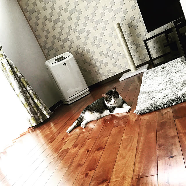 cureさんの実例写真