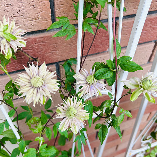 sunabaさんの部屋