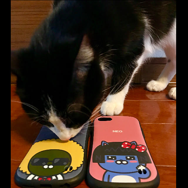 butachanさんの実例写真