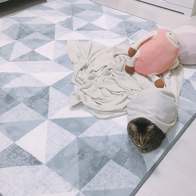 eriさんの実例写真