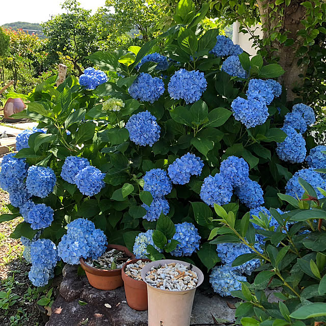 h-kemiyu5815hさんの実例写真