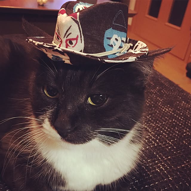 afroさんの実例写真
