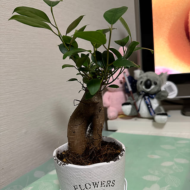 Mihoさんの実例写真
