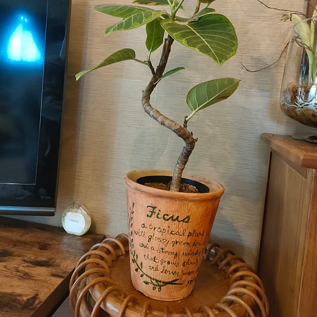 Yoko622さんの部屋