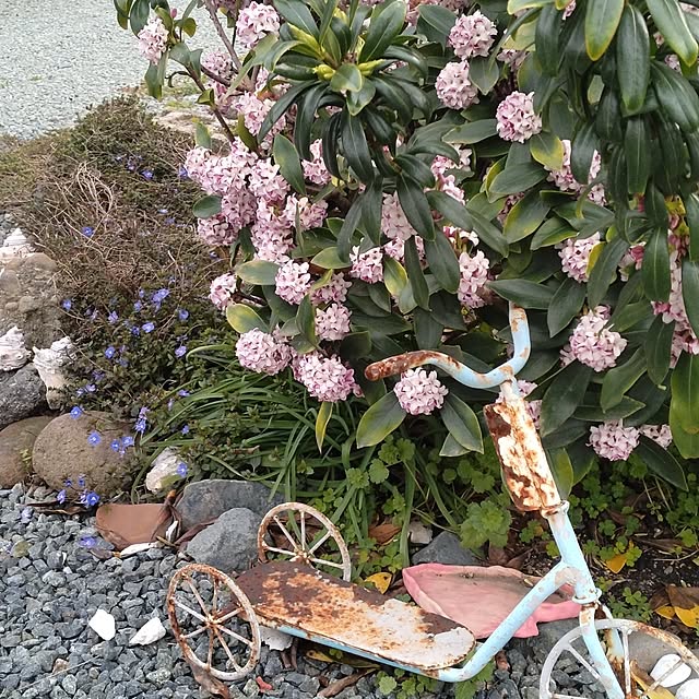 boston5757さんの実例写真