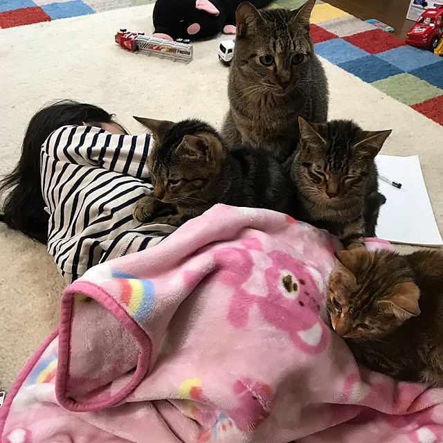 pepeさんの実例写真