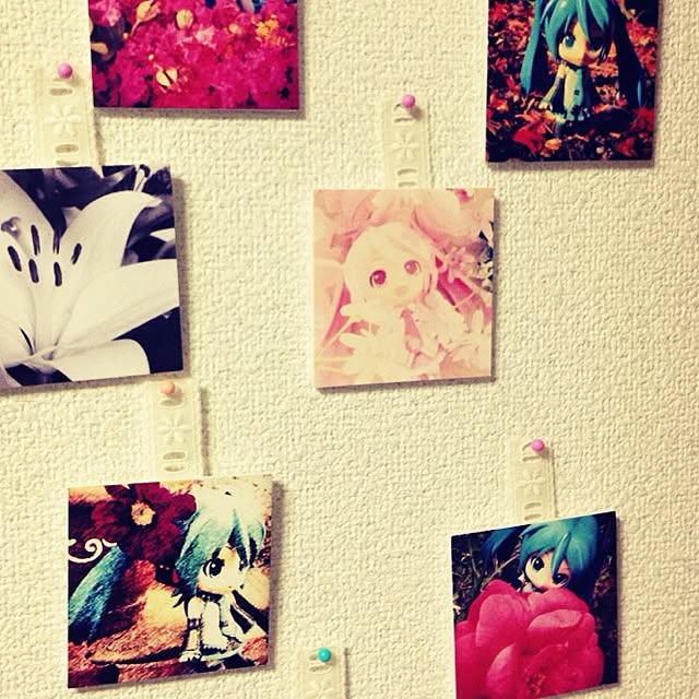 smkkkaorinさんの実例写真