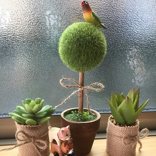 miporinさんの実例写真