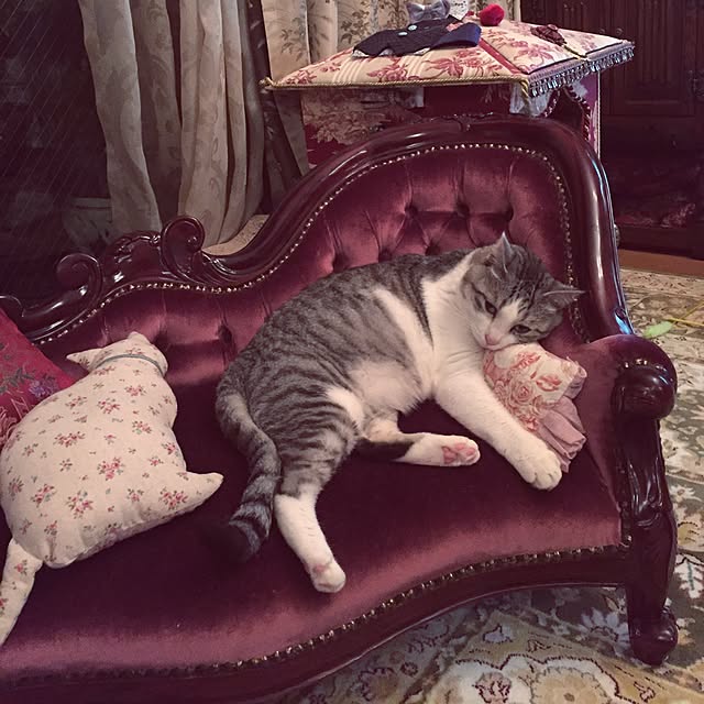 emmyyさんの実例写真