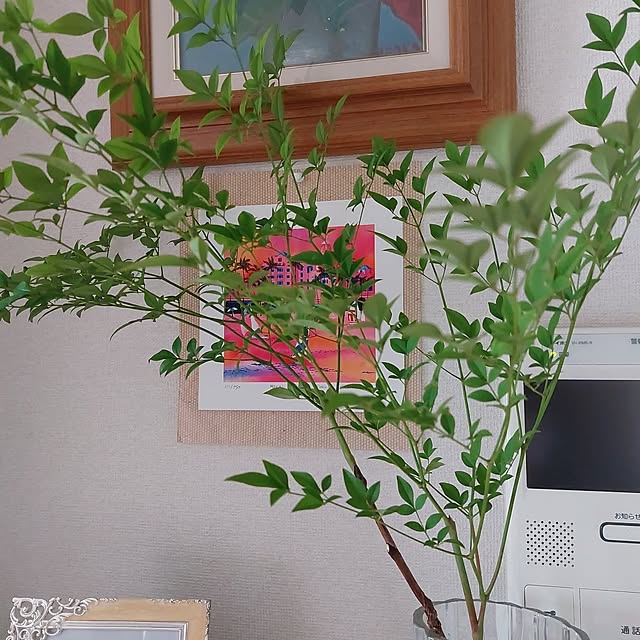 miyocoさんの実例写真