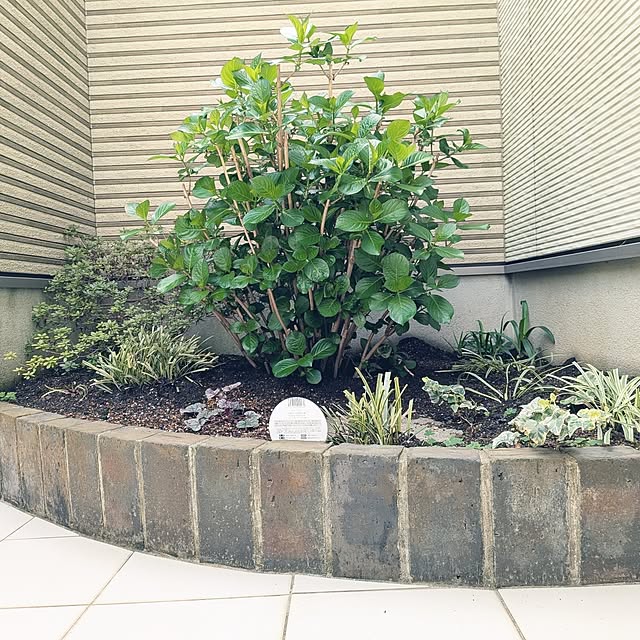 kumijiさんの実例写真