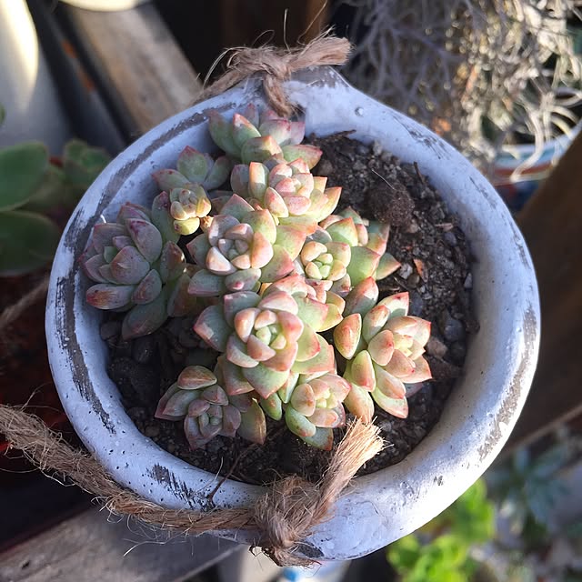 meさんの実例写真