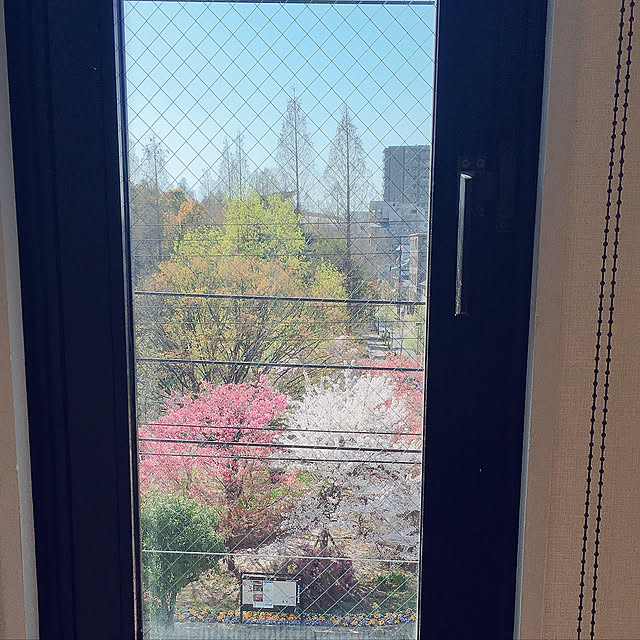 elicocongaさんの実例写真