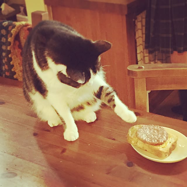 mikoさんの実例写真