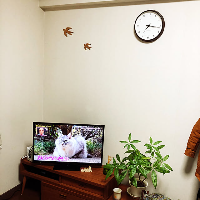 masamiさんの実例写真
