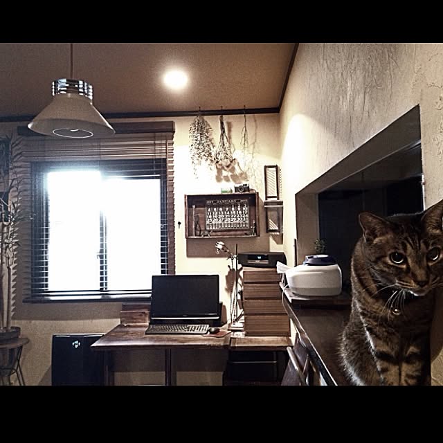 jnkaiさんの実例写真