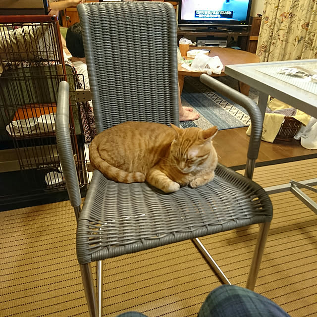 okyosan101さんの実例写真