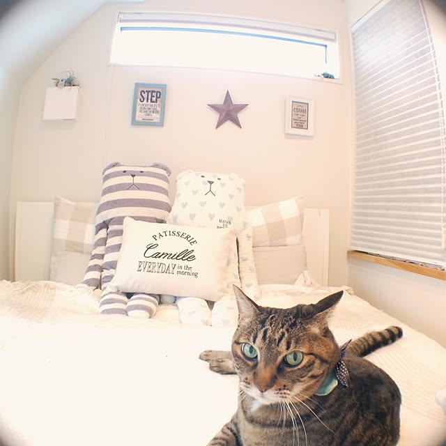 lovecatさんの実例写真