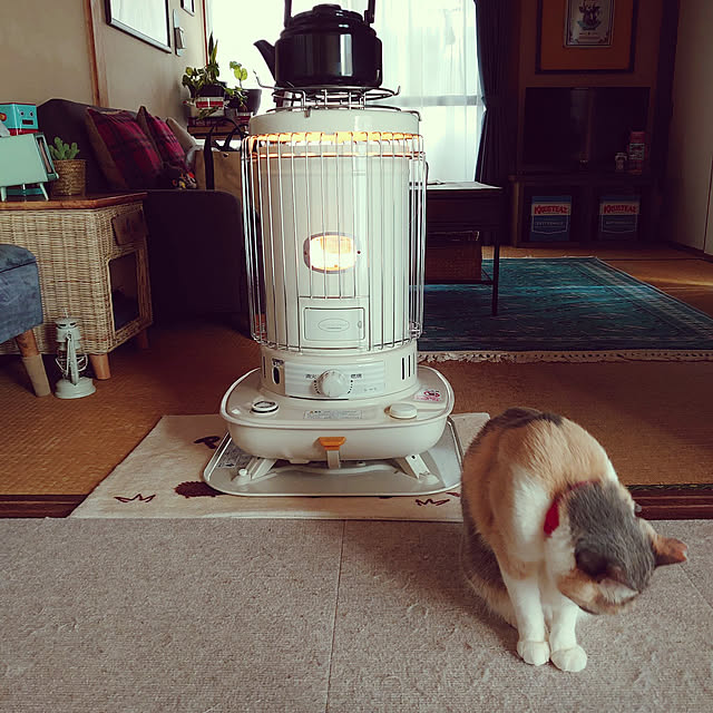 fukuさんの実例写真