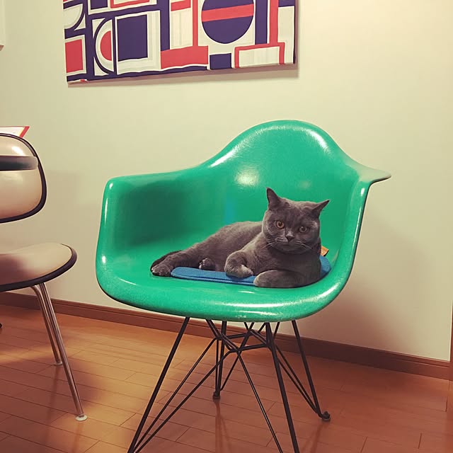 Shojiさんの実例写真