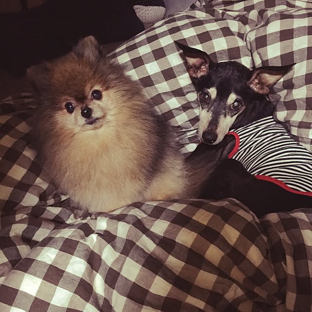 kumaさんの実例写真