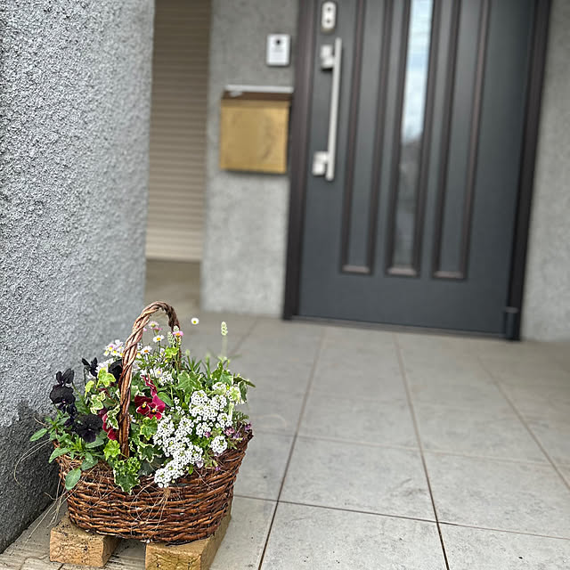chanさんの実例写真