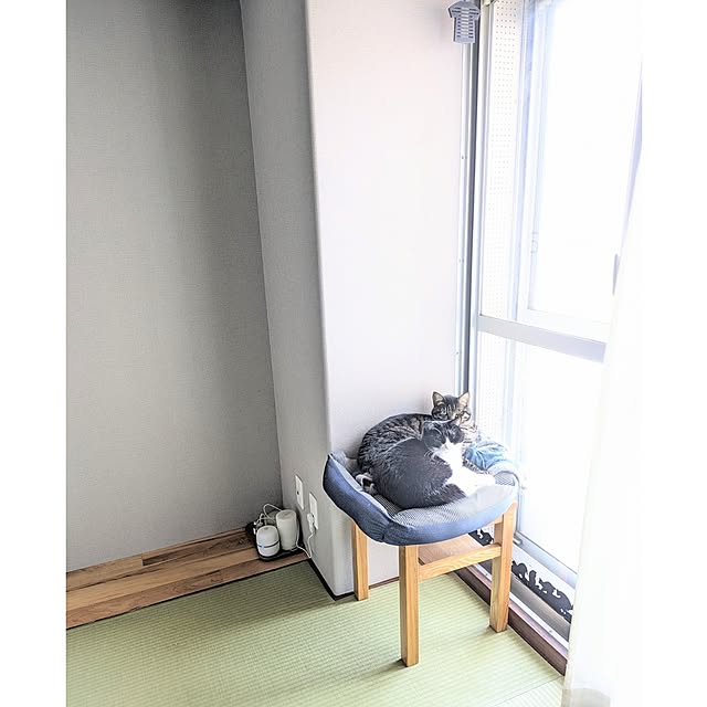 hihaさんの実例写真