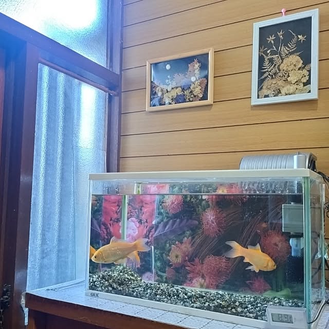 NOAHさんの部屋