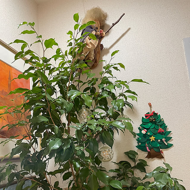 emichanbooさんの実例写真