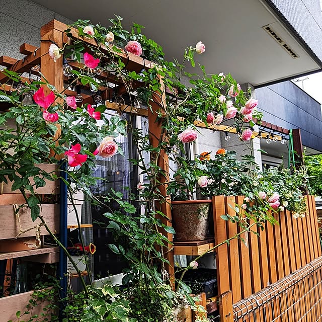 kazuさんの部屋