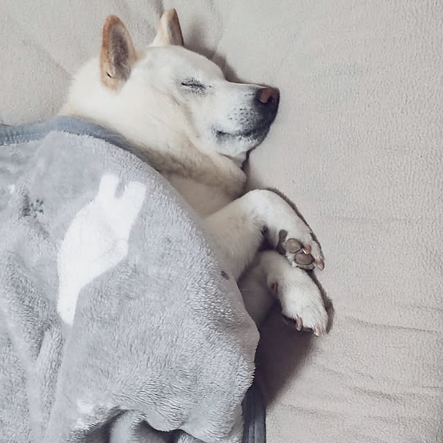 yukinkoさんの部屋