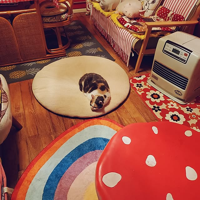 kumutanさんの部屋