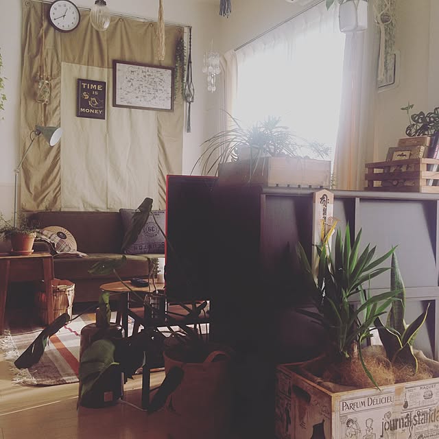 mikasakuさんの実例写真