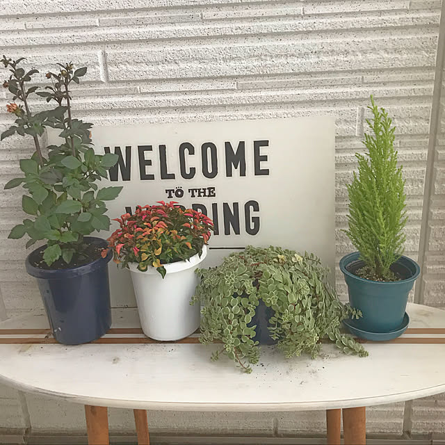 yukoさんの実例写真