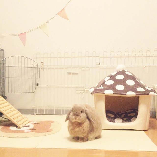mocoさんの実例写真