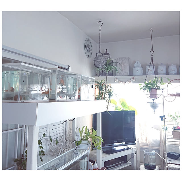 miho.okuさんの実例写真