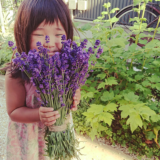 yurijiさんの実例写真