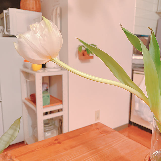 smallroomさんの部屋
