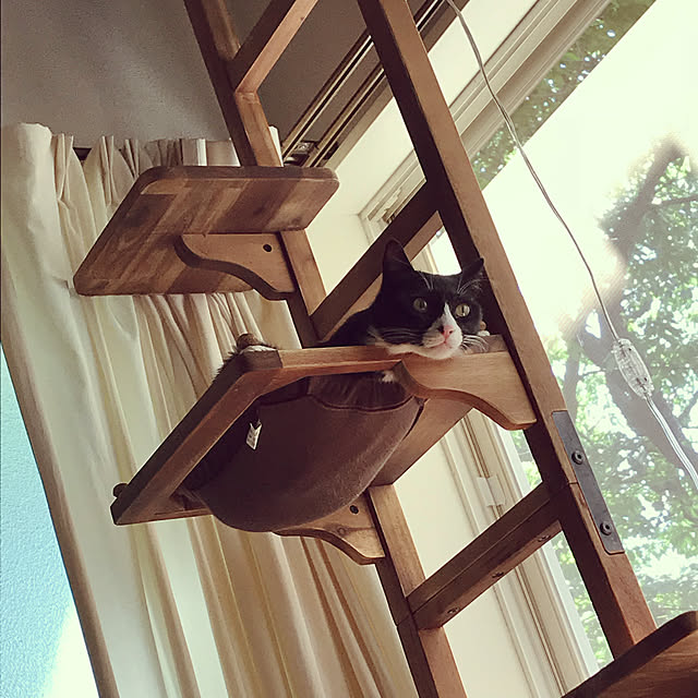 pyonさんの実例写真