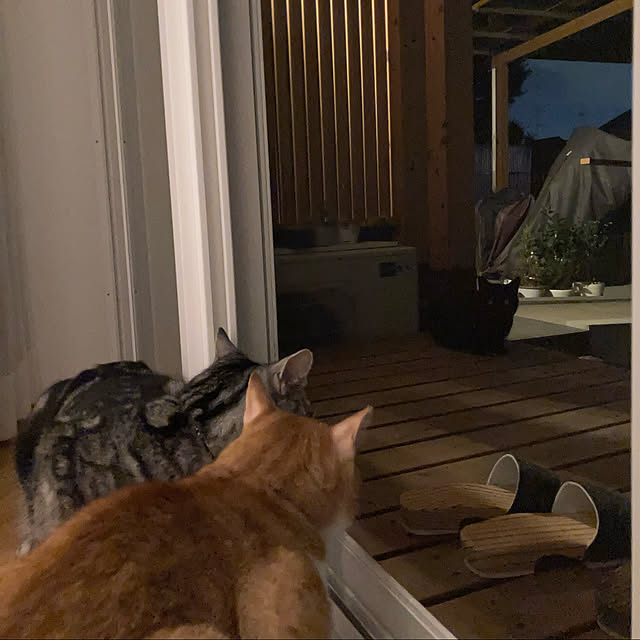 mkmkmoominさんの実例写真