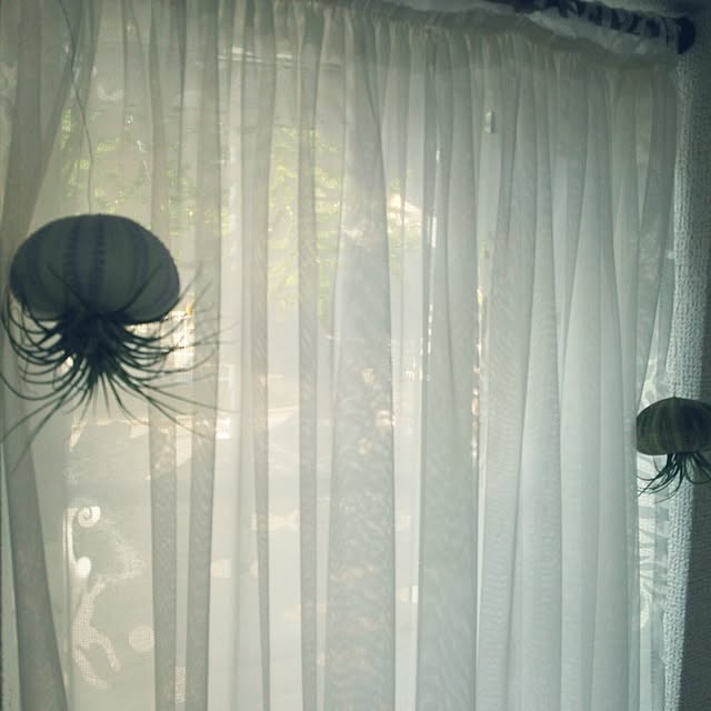 sunflowerさんの実例写真